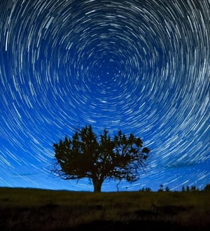 North star shutterstock_758004730-1-1