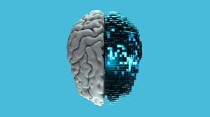 brain